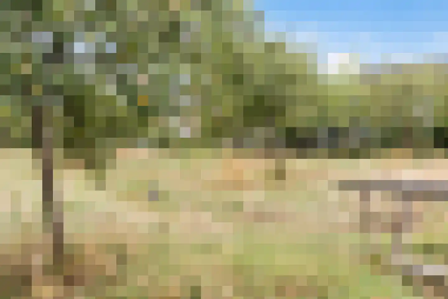 Eendenkooiweg 6 Nijbroek thumbnail 66