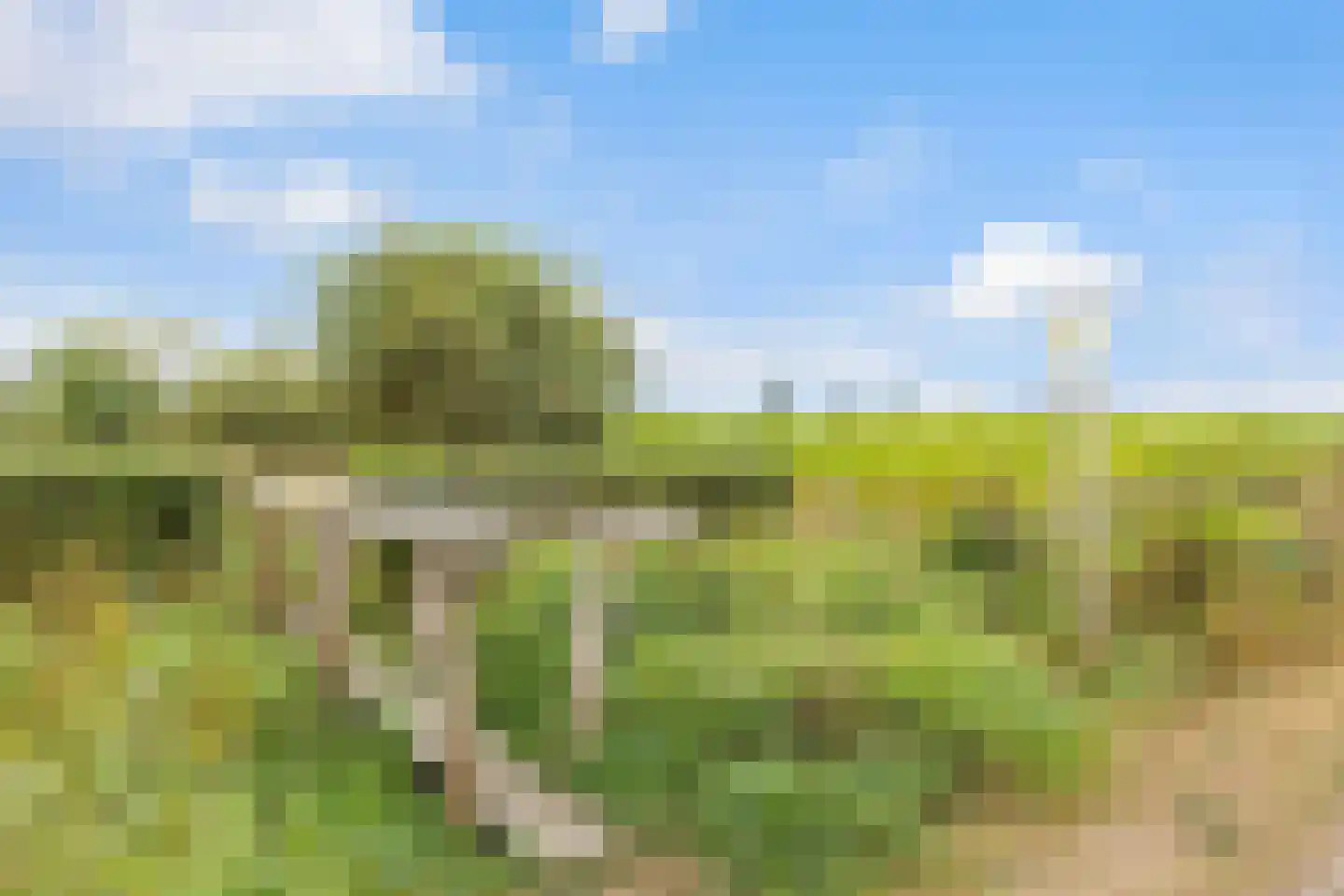 Eendenkooiweg 6 Nijbroek thumbnail 67