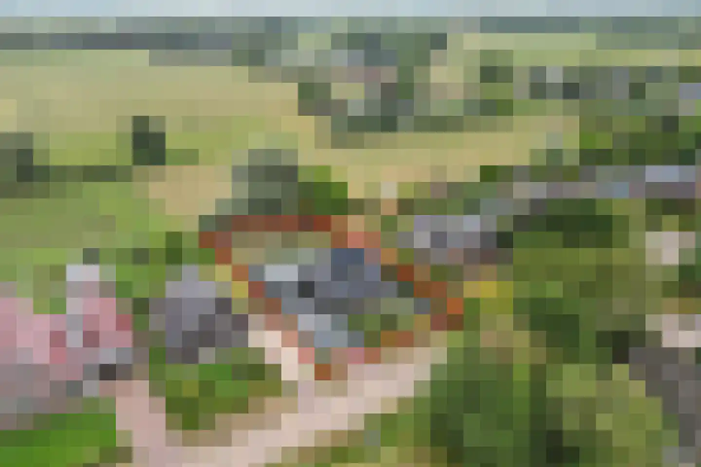 Eendenkooiweg 6 Nijbroek thumbnail 69