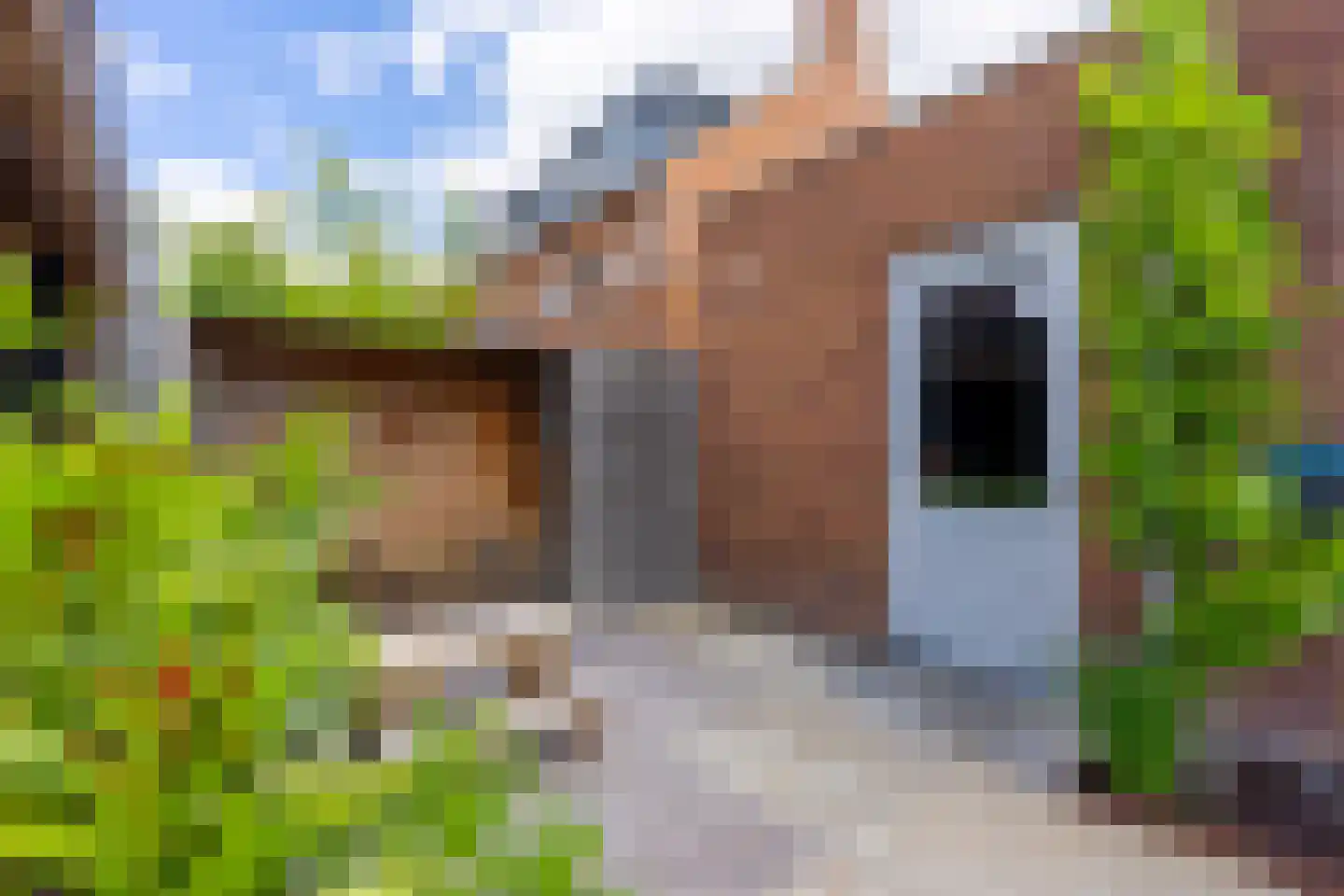 Eendenkroosvliet 23 Utrecht thumbnail 31