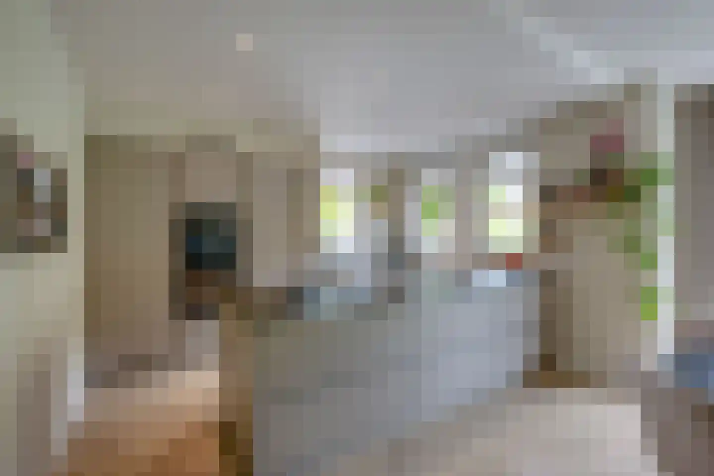 Eendenkroosvliet 23 Utrecht thumbnail 35