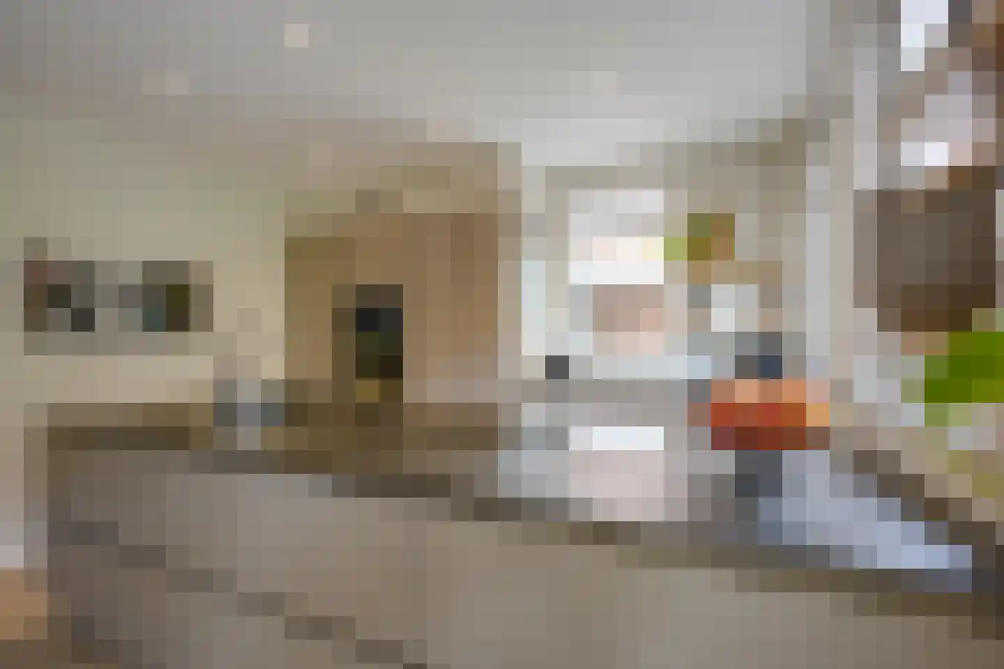 Eendenkroosvliet 23 Utrecht thumbnail 40