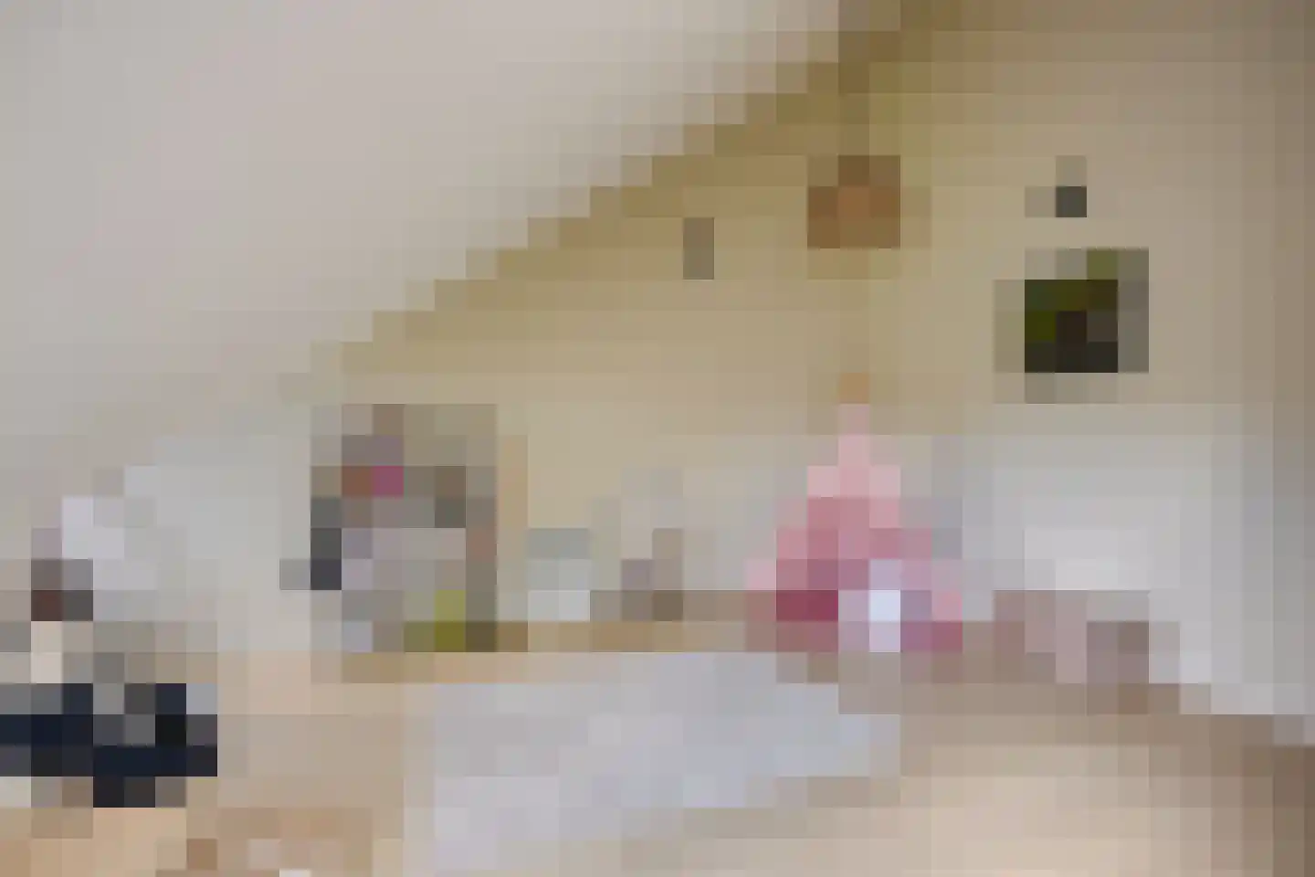 Eendenkroosvliet 23 Utrecht thumbnail 68