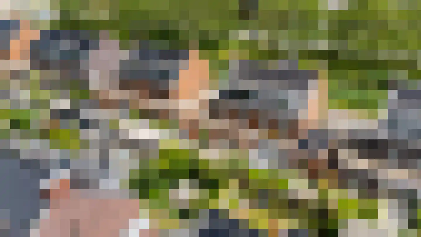 Eendenkroosvliet 23 Utrecht thumbnail 72