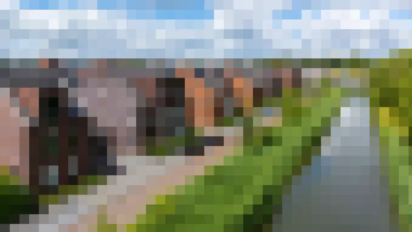 Eendenkroosvliet 23 Utrecht thumbnail 74