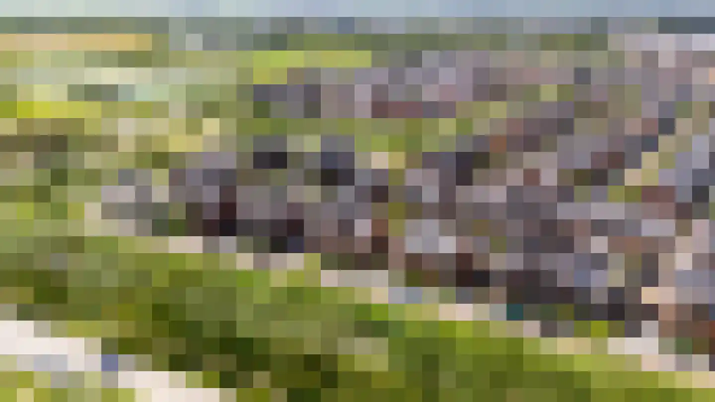 Eendenkroosvliet 23 Utrecht thumbnail 75