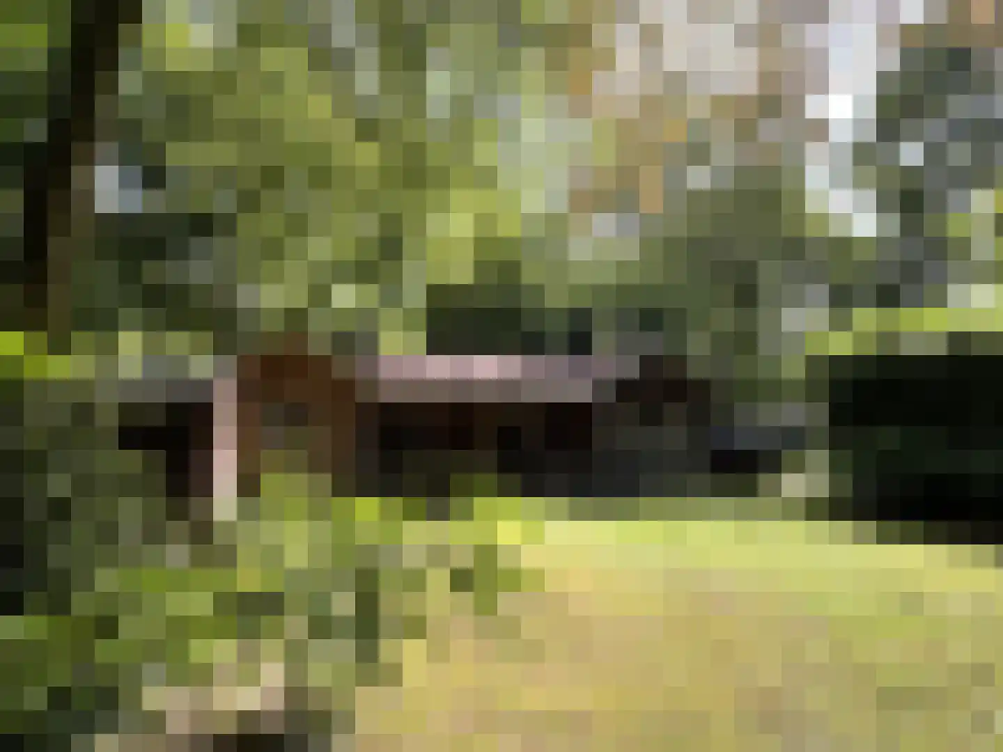 Eendenparkweg 37 42 Ermelo thumbnail 15