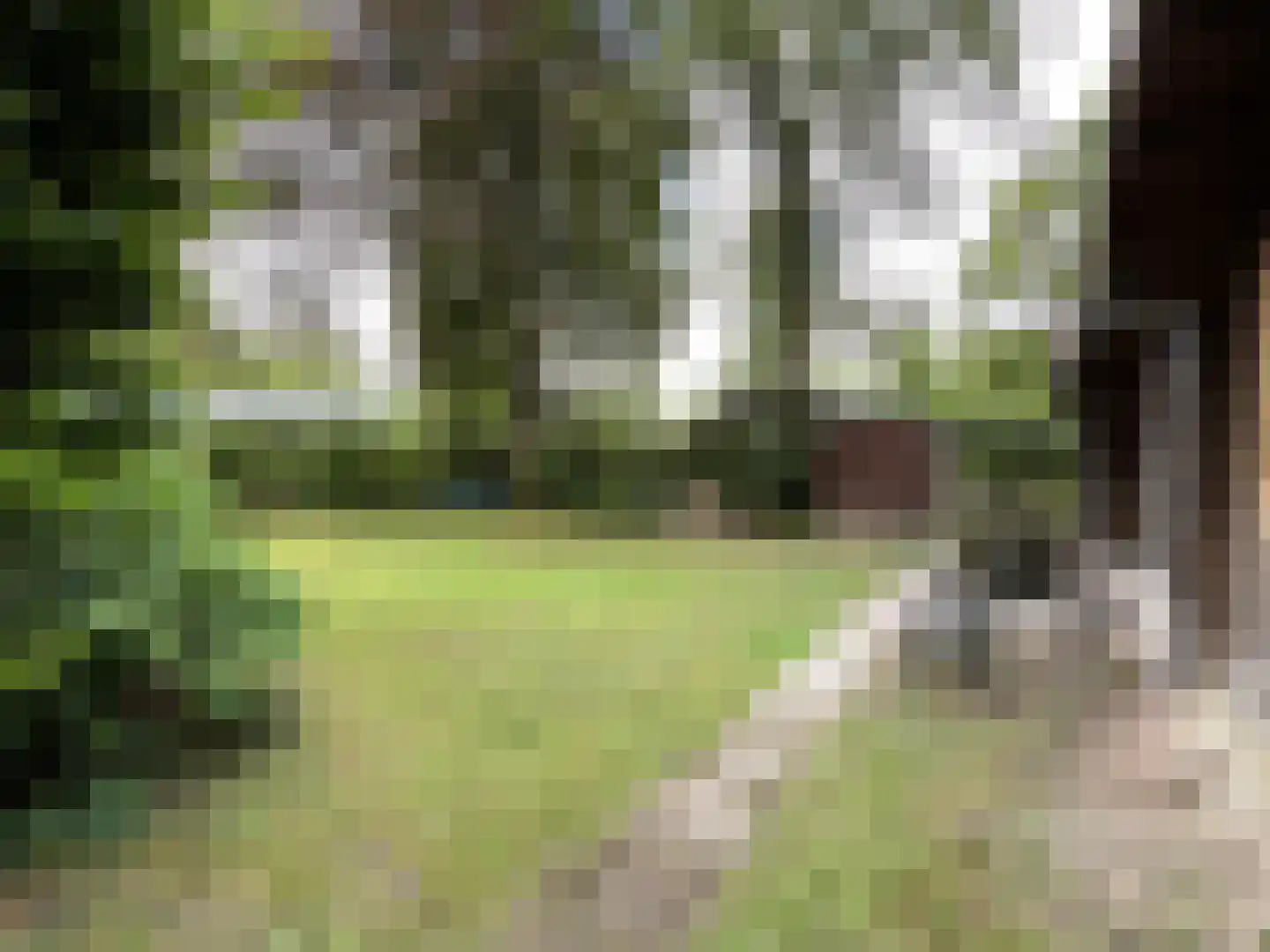 Eendenparkweg 37 42 Ermelo thumbnail 17