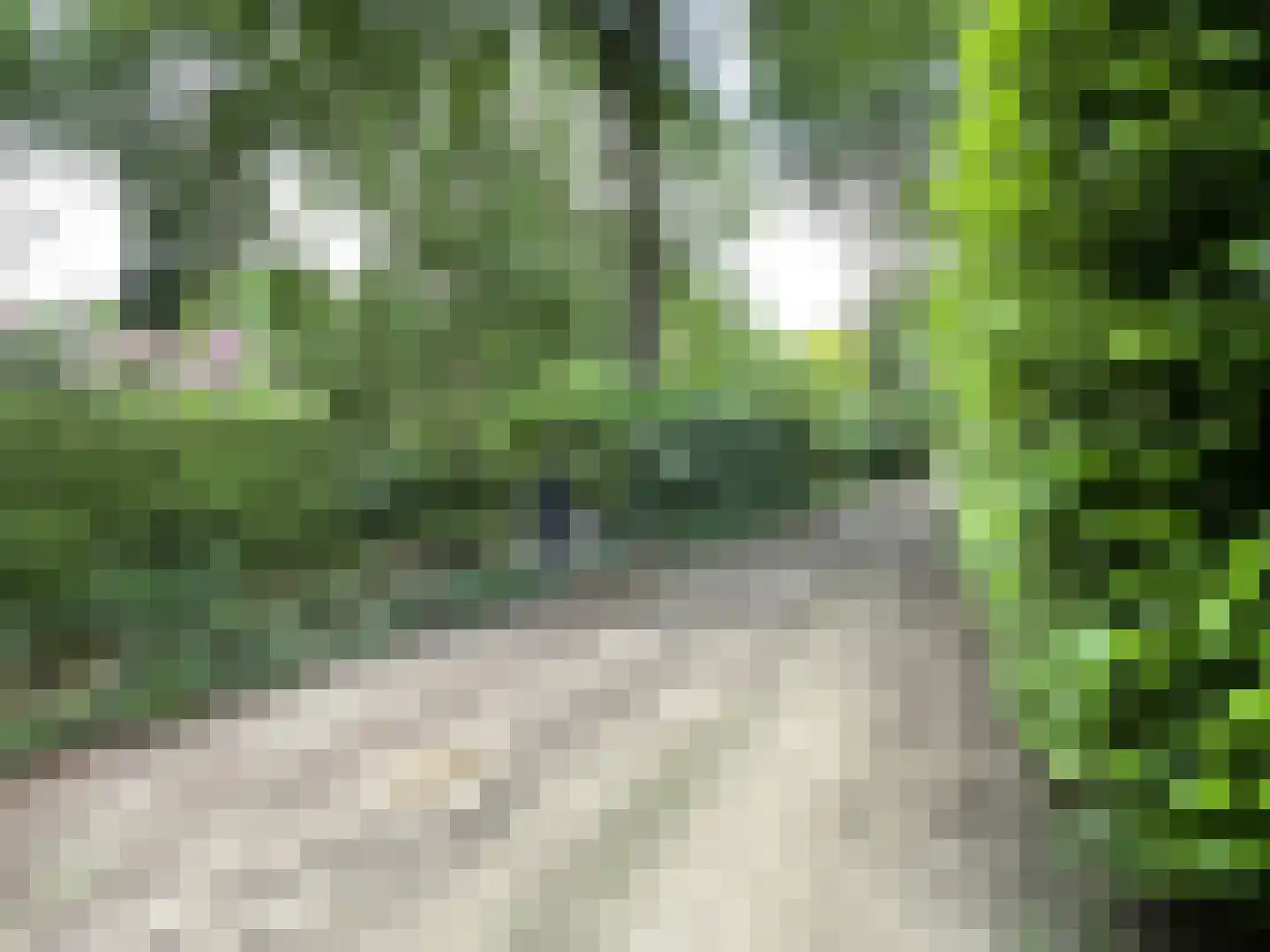 Eendenparkweg 37 42 Ermelo thumbnail 19