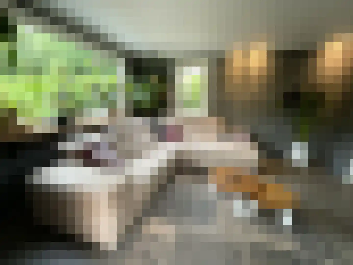 Eendenparkweg 43 28 Ermelo thumbnail 33