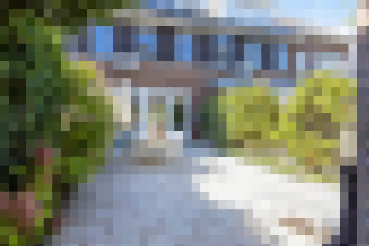 Eendenplas 14 Gorinchem thumbnail 21