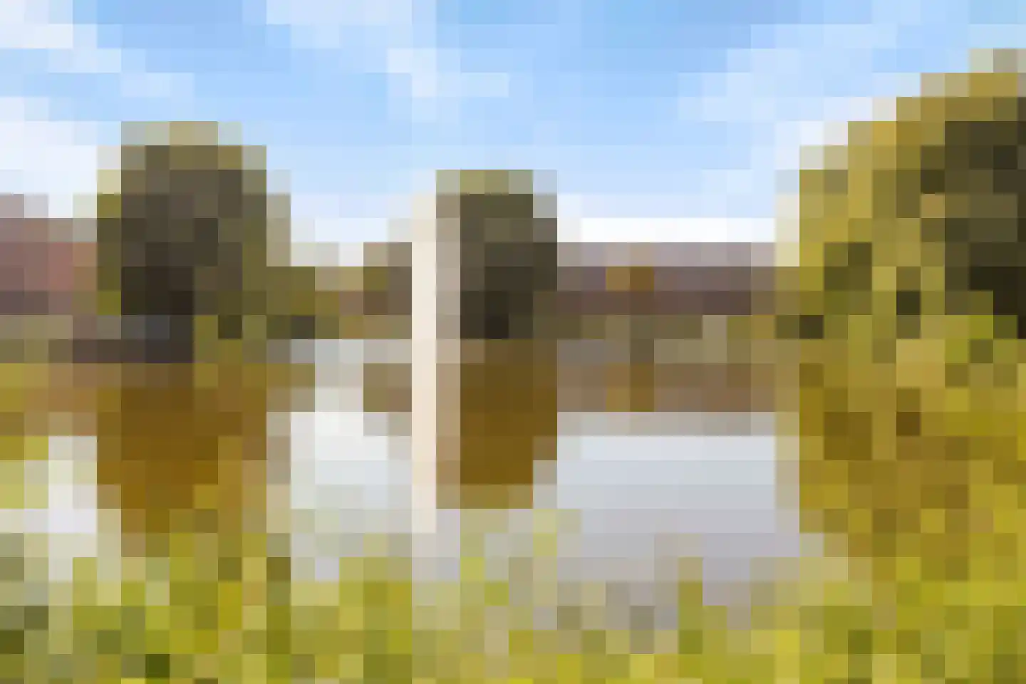 Eendenplas 14 Gorinchem thumbnail 22