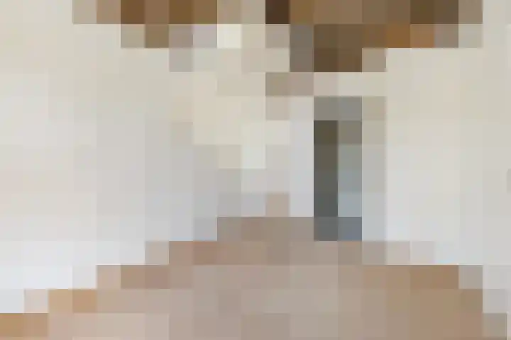 Eendenpoel 2 Oirschot thumbnail 19