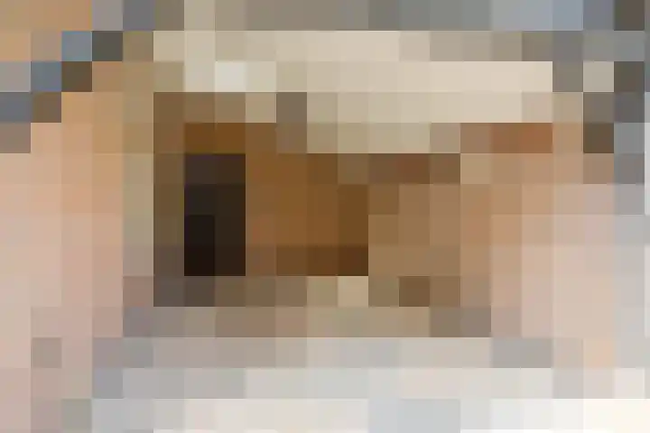Eendenpoel 2 Oirschot thumbnail 28
