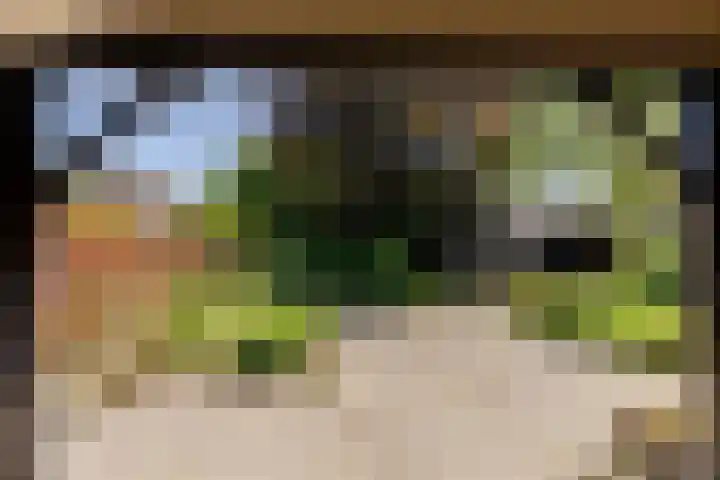 Eendenpoel 2 Oirschot thumbnail 29