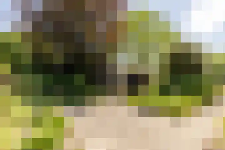 Eendenpoel 2 Oirschot thumbnail 30