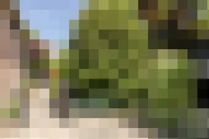 Eendenpoel 2 Oirschot thumbnail 33