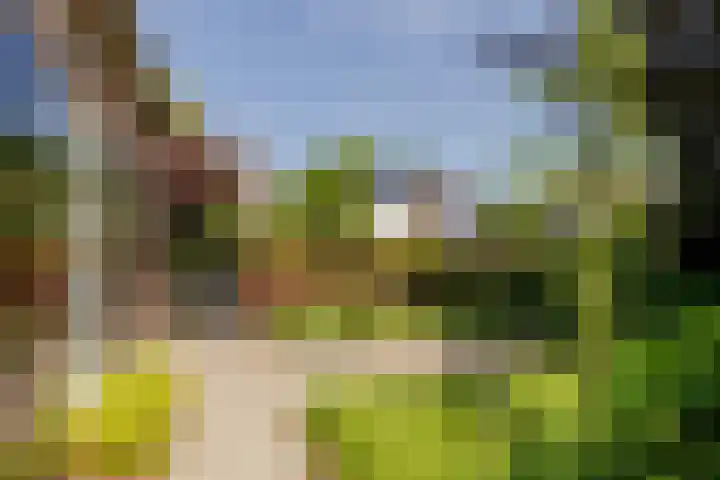 Eendenpoel 2 Oirschot thumbnail 34