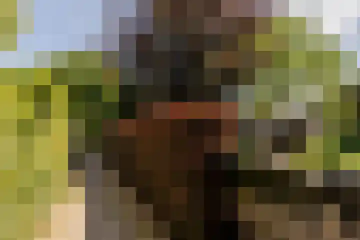 Eendenpoel 2 Oirschot thumbnail 35
