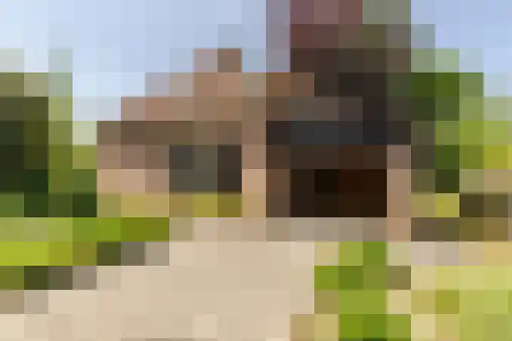 Eendenpoel 2 Oirschot thumbnail 4