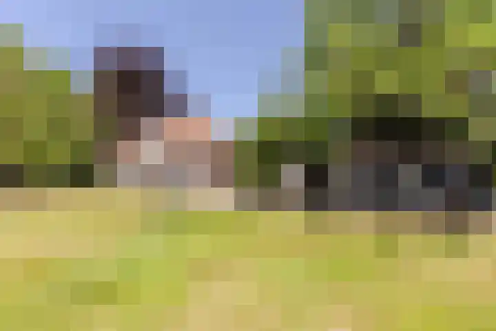 Eendenpoel 2 Oirschot thumbnail 40