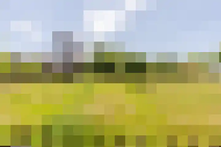 Eendenpoel 2 Oirschot thumbnail 44