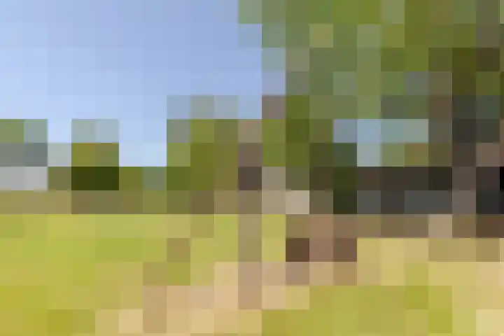 Eendenpoel 2 Oirschot thumbnail 45