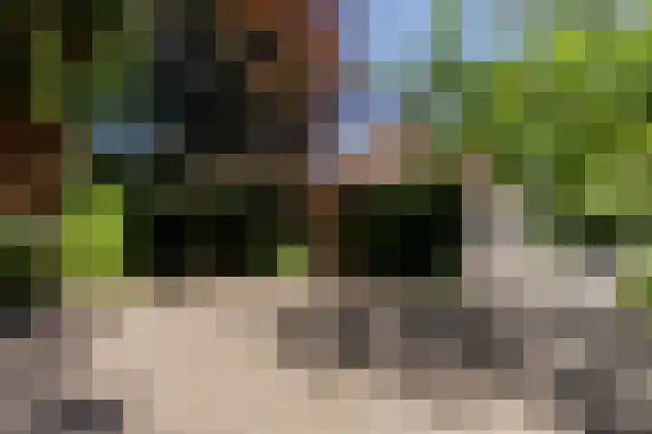 Eendenpoel 2 Oirschot thumbnail 46