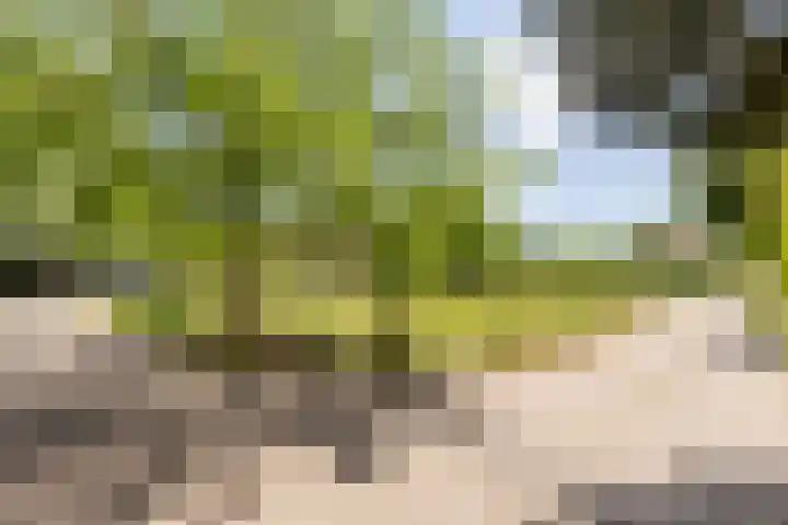 Eendenpoel 2 Oirschot thumbnail 47