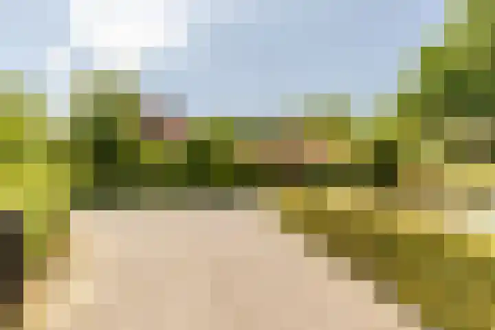 Eendenpoel 2 Oirschot thumbnail 48