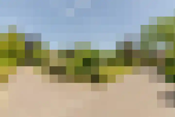 Eendenpoel 2 Oirschot thumbnail 49