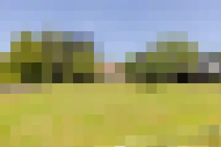 Eendenpoel 2 Oirschot thumbnail 50