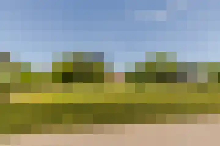 Eendenpoel 2 Oirschot thumbnail 51