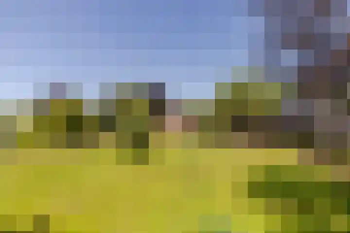 Eendenpoel 2 Oirschot thumbnail 52