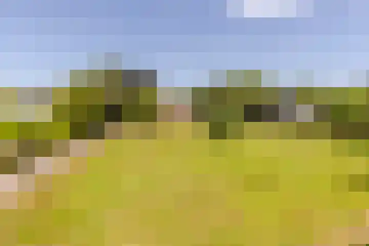 Eendenpoel 2 Oirschot thumbnail 53