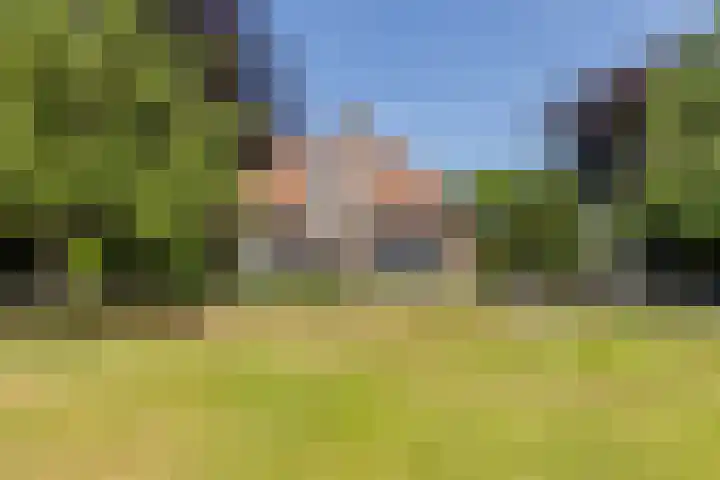 Eendenpoel 2 Oirschot thumbnail 54