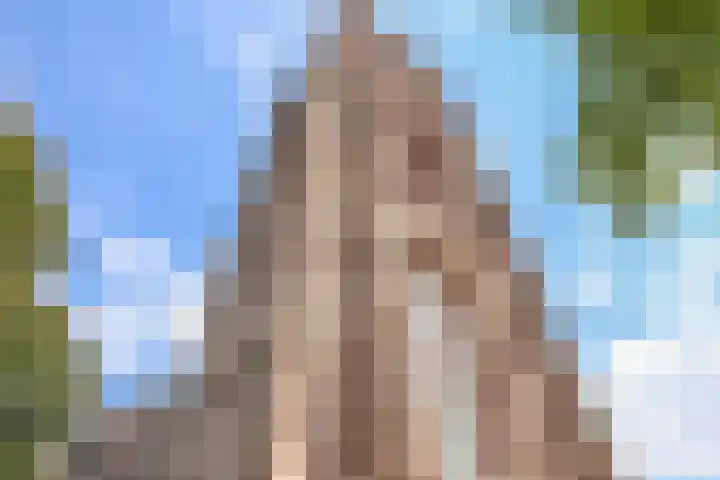 Eendenpoel 2 Oirschot thumbnail 56
