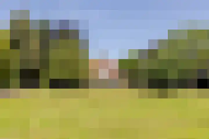 Eendenpoel 2 Oirschot thumbnail 60