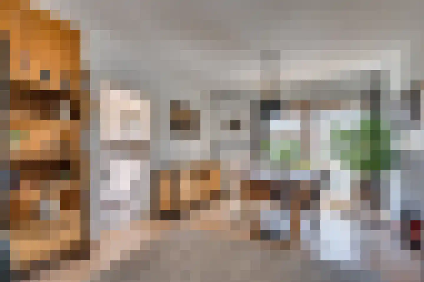 Eendenstraat 7 Venlo thumbnail 4
