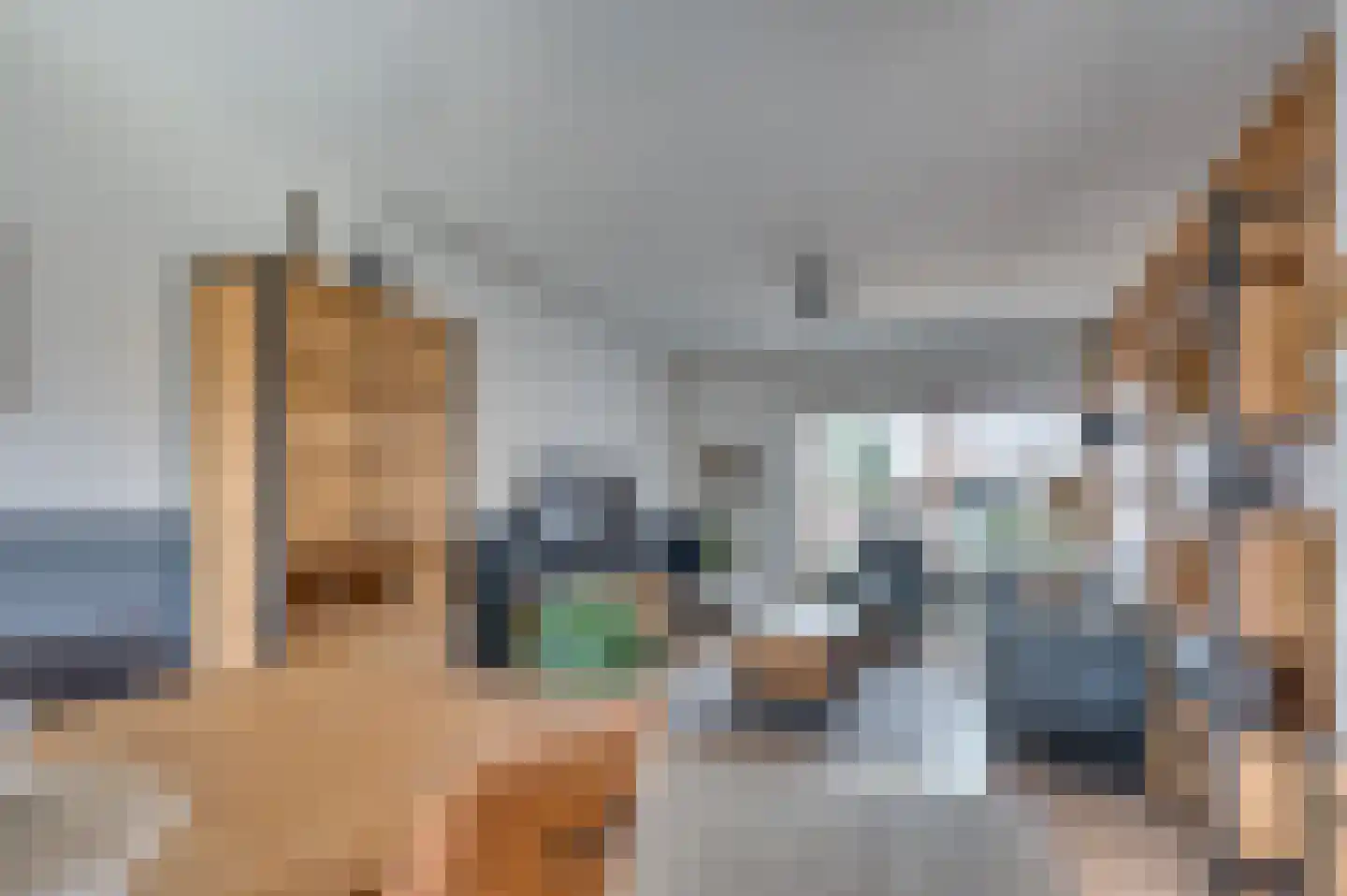Eendenstraat 7 Venlo thumbnail 5