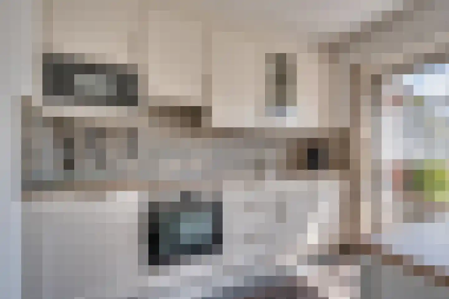 Eendenstraat 7 Venlo thumbnail 6