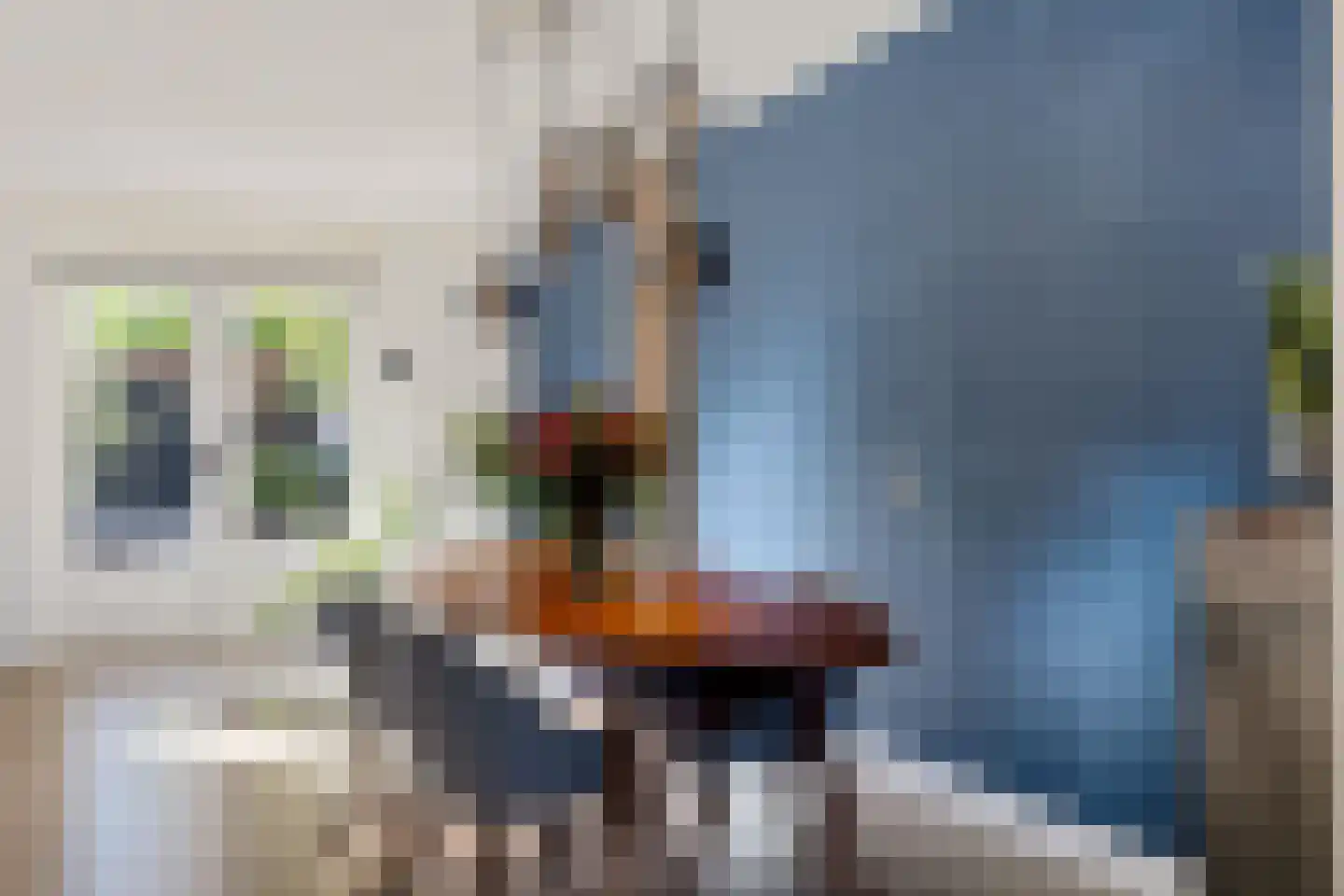 Eendenveld 15 Emmen thumbnail 11