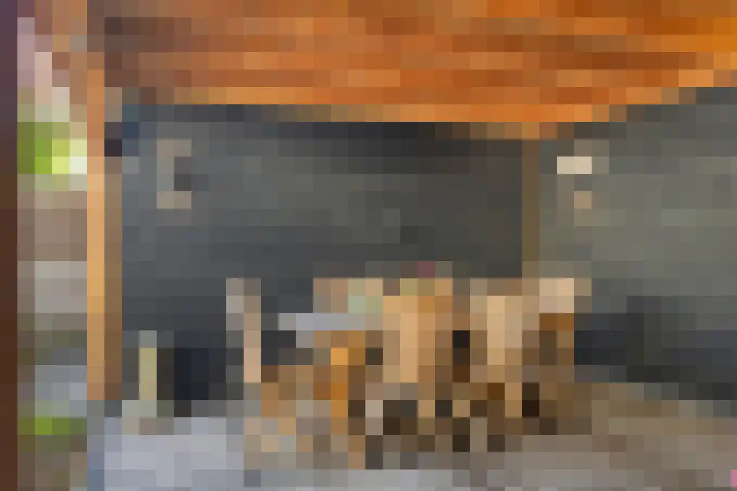 Eendenveld 15 Emmen thumbnail 36