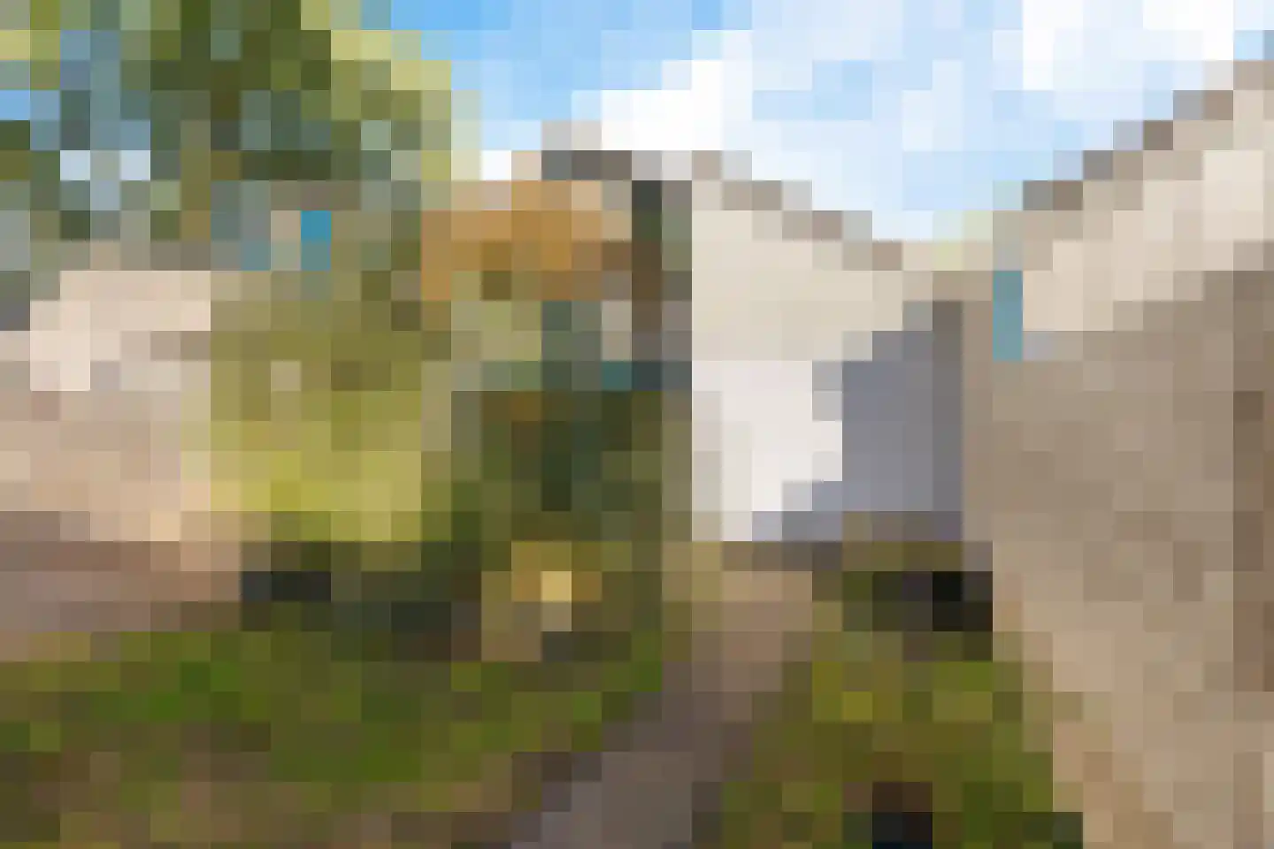 Eendenveld 15 Emmen thumbnail 39