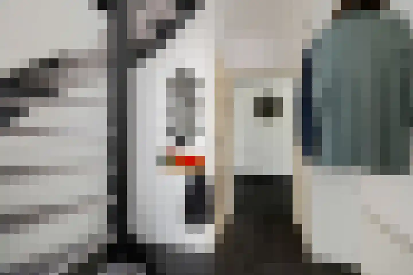 Eendenveld 23 Emmen thumbnail 18