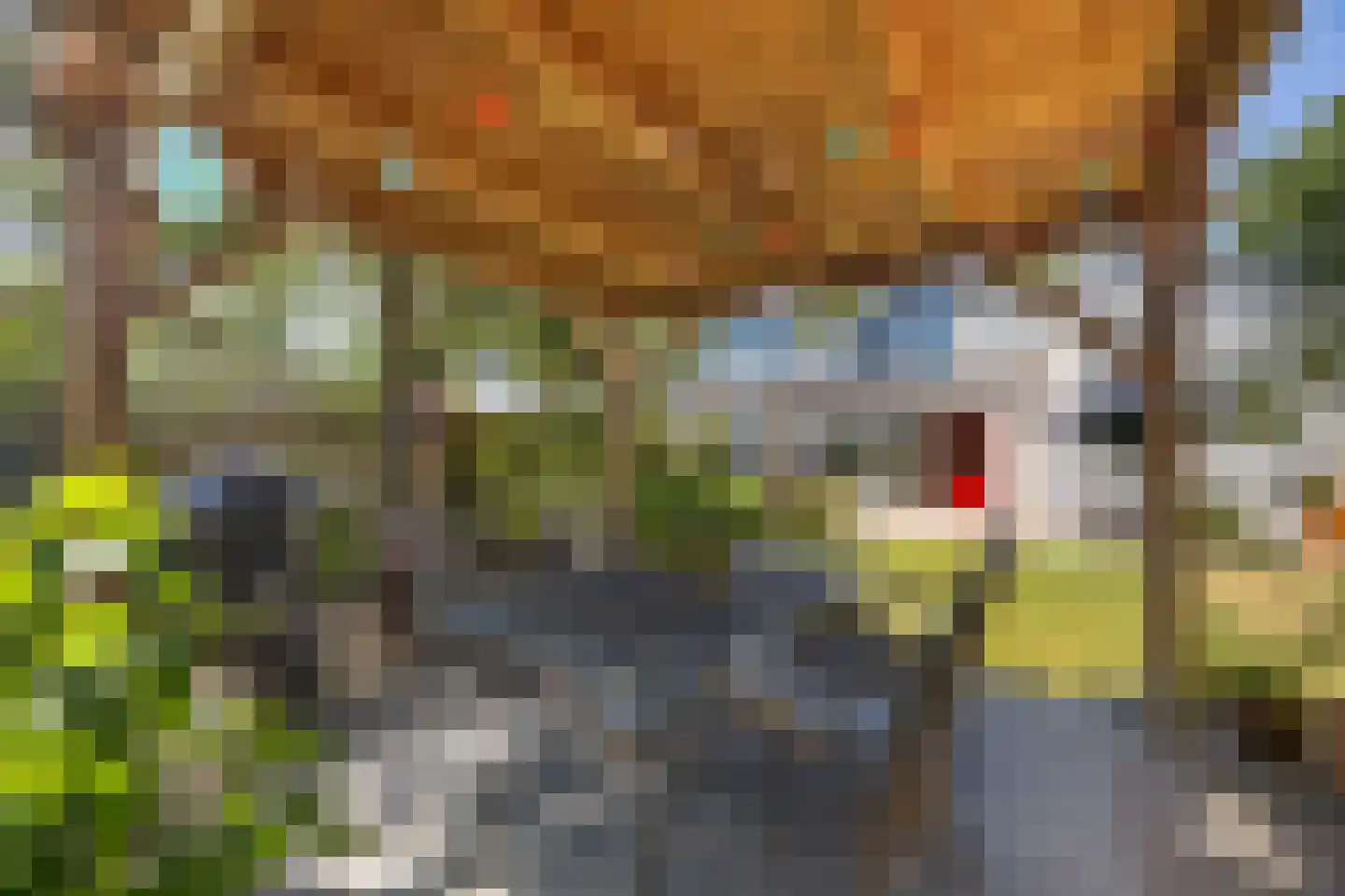Eendenveld 23 Emmen thumbnail 37