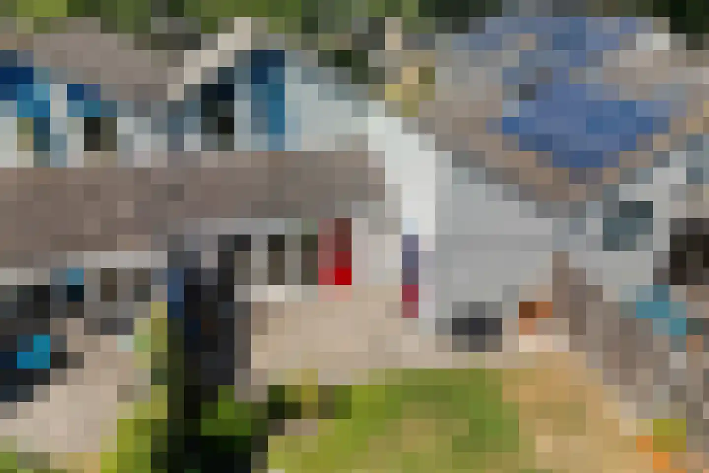 Eendenveld 23 Emmen thumbnail 38
