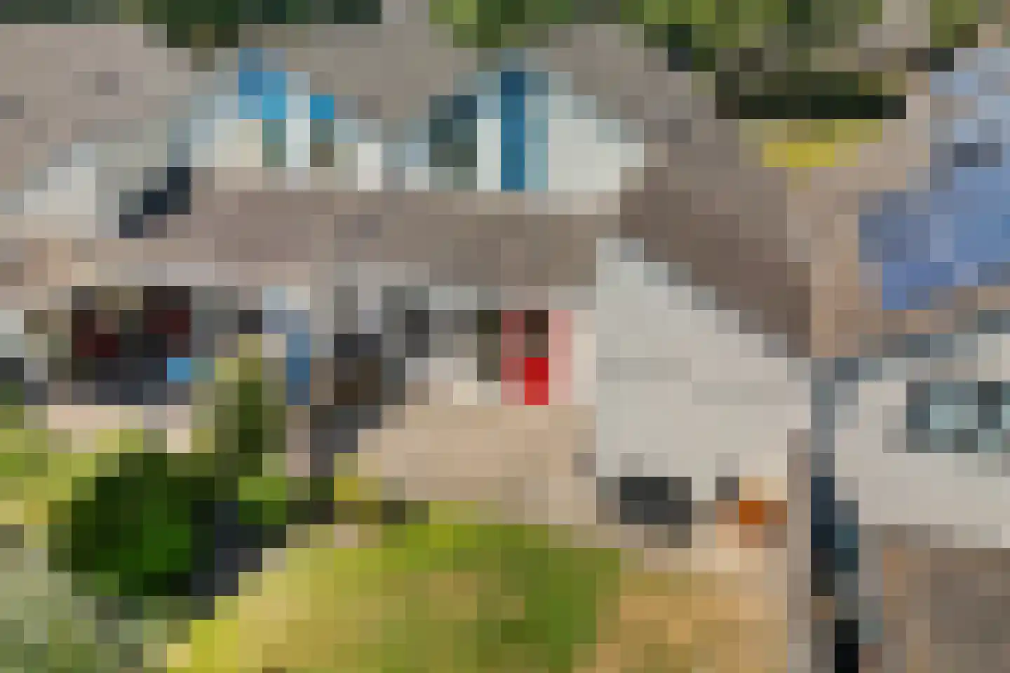 Eendenveld 23 Emmen thumbnail 39