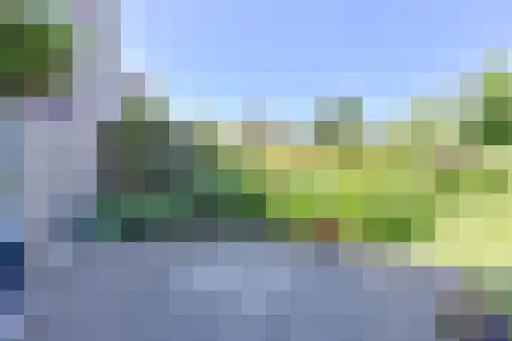 Eendenveld 33 Emmen thumbnail 53