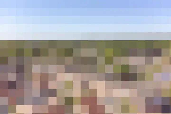 Eendenveld 33 Emmen thumbnail 56